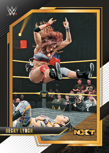 Click here to view No Purchase Necessary (NPN) Information for 2022 Panini WWE NXT Wrestling Cards